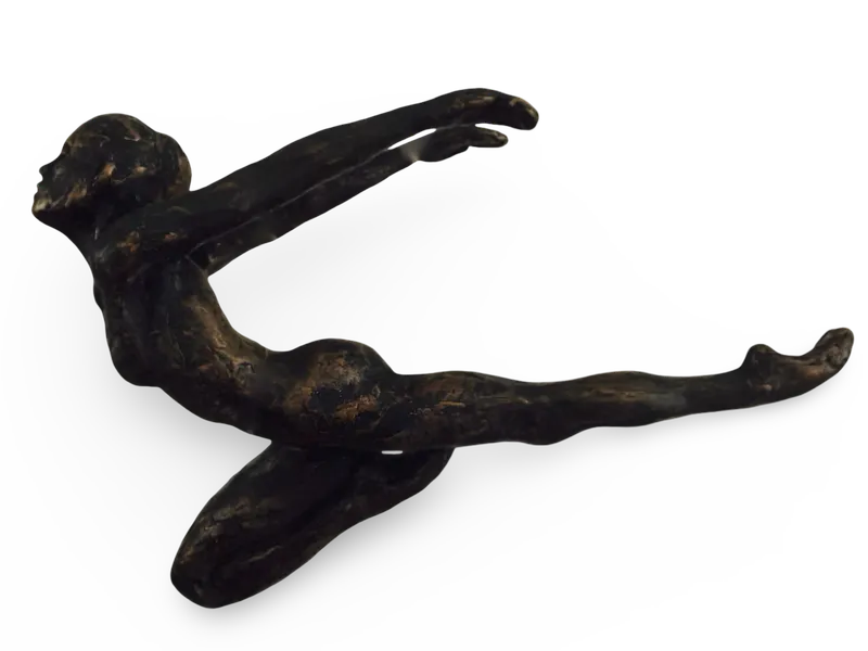Acrobates IV