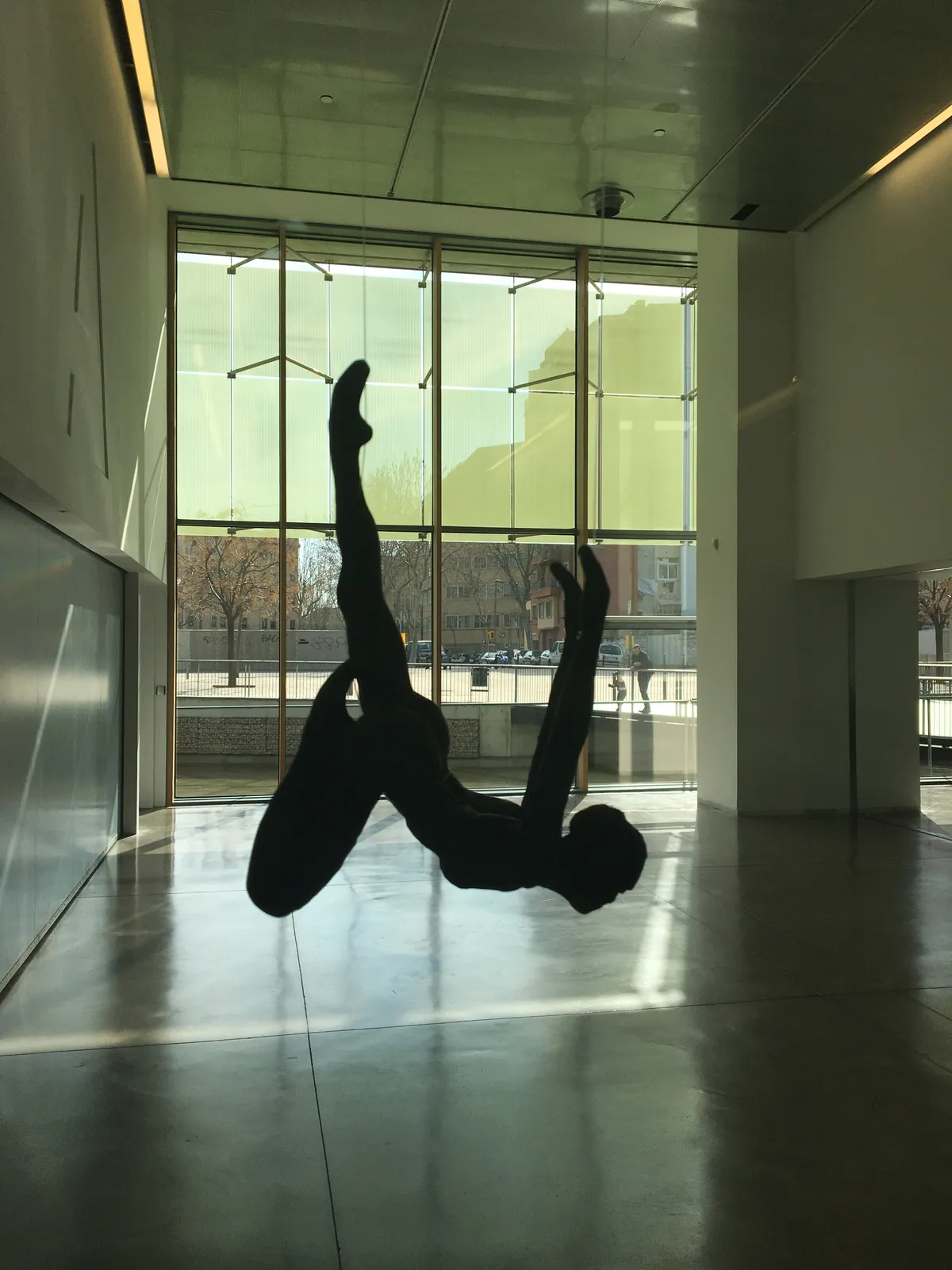 Acrobates IV