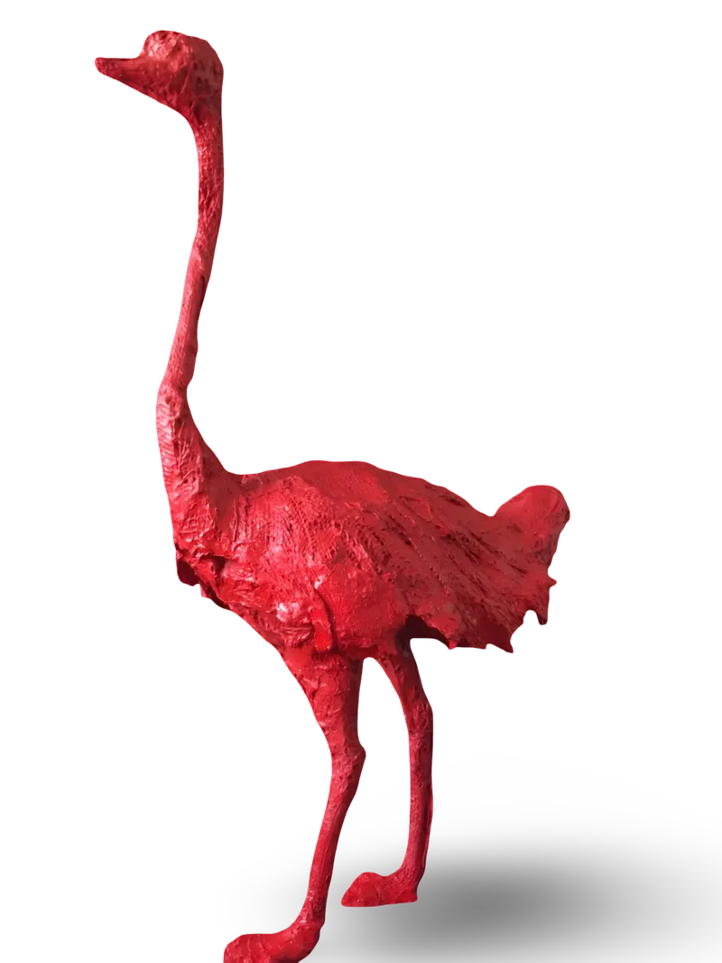 Autruche