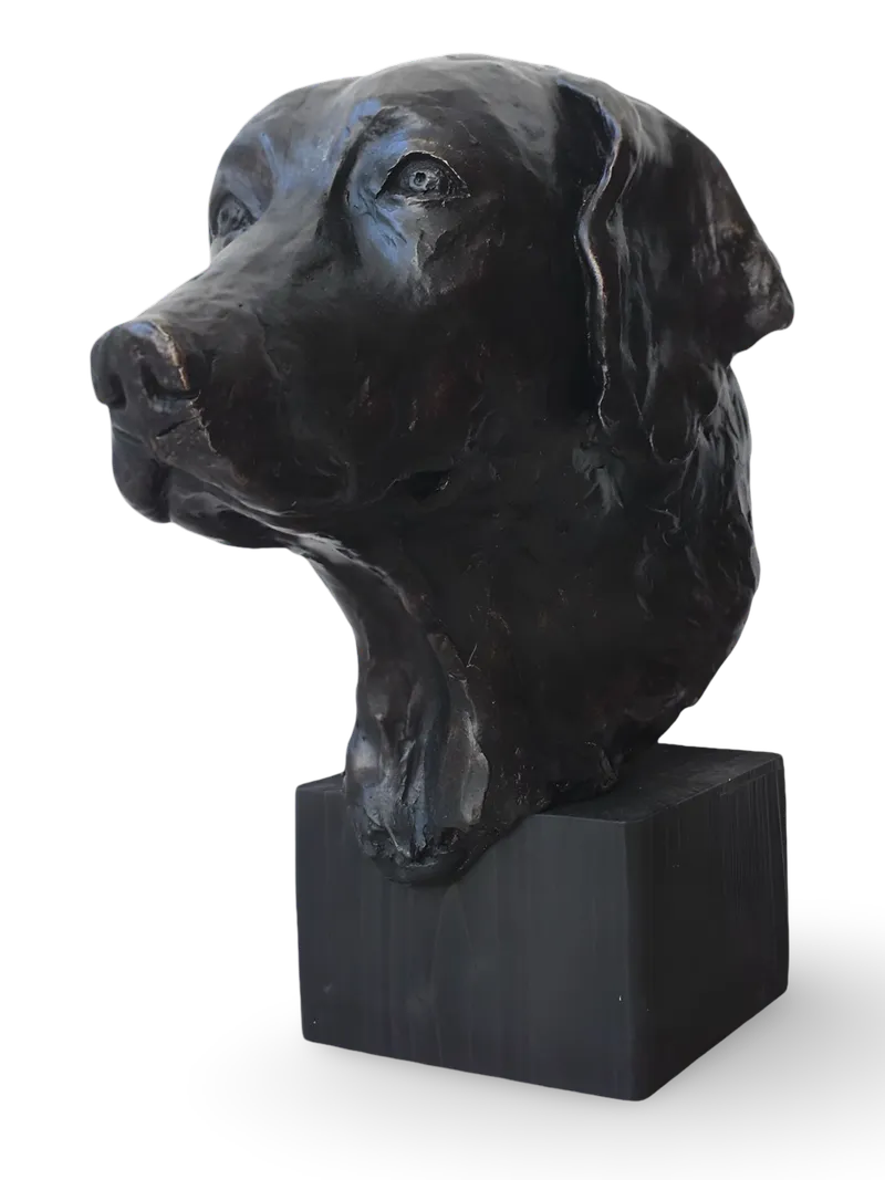Dogs Head II