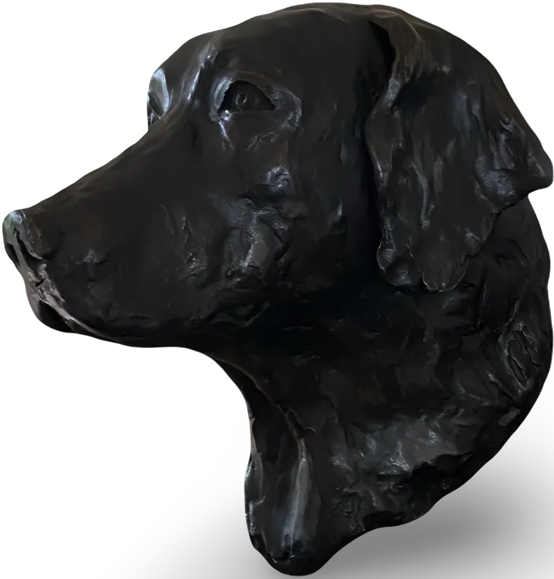Dogs Head