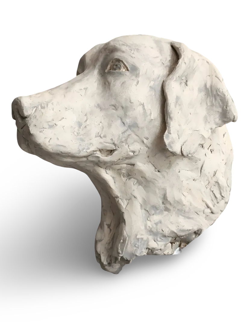 Dogs Head